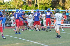 Enlarge photo 310