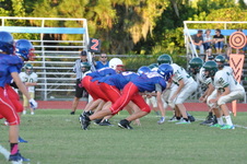 Enlarge photo 315