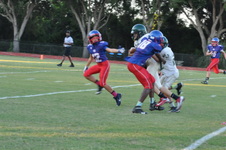 Enlarge photo 345