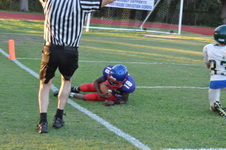 Enlarge photo 354
