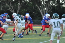 Enlarge photo 357