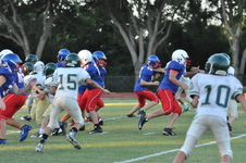 Enlarge photo 358
