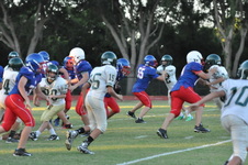 Enlarge photo 359