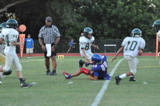 Enlarge photo 367