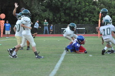 Enlarge photo 368