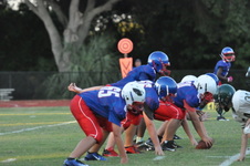 Enlarge photo 380
