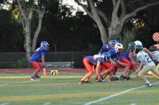 Enlarge photo 391