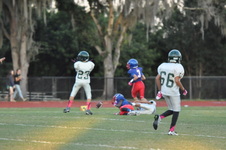 Enlarge photo 425