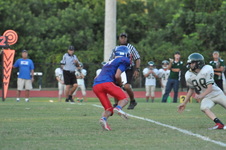 Enlarge photo 432