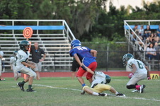 Enlarge photo 440