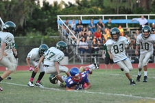 Enlarge photo 444