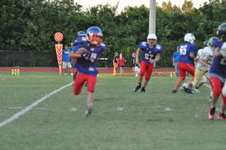 Enlarge photo 465