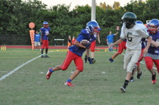 Enlarge photo 467