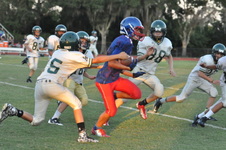 Enlarge photo 471