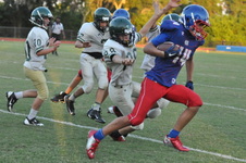 Enlarge photo 473