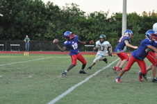 Enlarge photo 490
