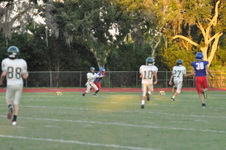 Enlarge photo 491
