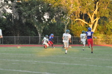 Enlarge photo 492