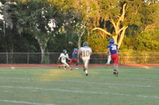 Enlarge photo 493