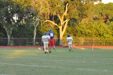 Enlarge photo 497