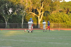 Enlarge photo 498
