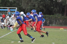 Enlarge photo 519