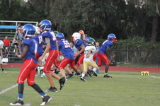 Enlarge photo 521