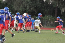 Enlarge photo 522