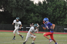 Enlarge photo 535