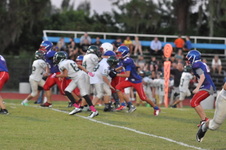 Enlarge photo 587