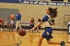 Enlarge photo 46