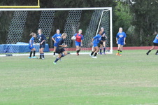 Enlarge photo 41