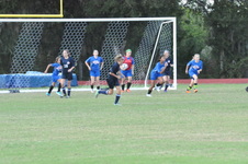 Enlarge photo 42