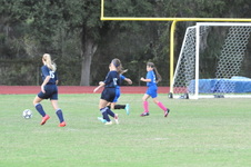 Enlarge photo 59