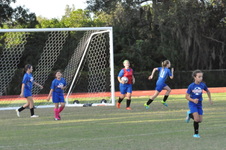 Enlarge photo 112