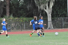 Enlarge photo 335