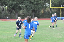 Enlarge photo 427