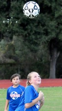 Enlarge photo 430
