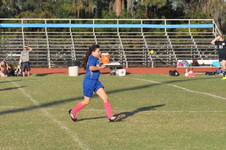 Enlarge photo 528