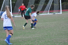 Enlarge photo 98