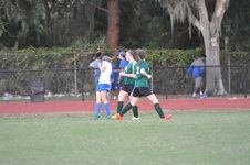 Enlarge photo 163