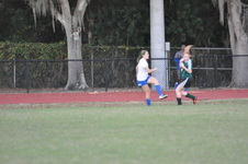 Enlarge photo 533