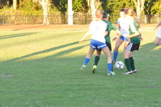 Enlarge photo 1147
