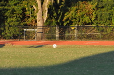 Enlarge photo 1515