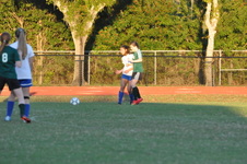 Enlarge photo 1557