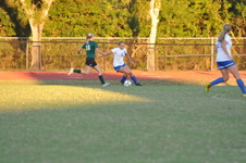 Enlarge photo 2133