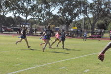 Enlarge photo 207