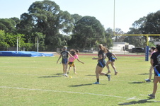 Enlarge photo 239