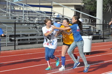 Enlarge photo 223