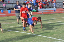 Enlarge photo 230